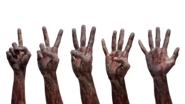 Birden beşe kadar el hareketlerini sayarken kanlı yara almış zombi elleri. Zombi, şeytan, şeytan, şeytan ya da canavar eller beyaz bir arka plan üzerinde izole edilmiş. Ürkütücü Cadılar Bayramı konsepti
