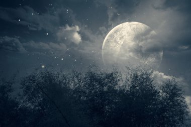 Büyük bir dolunay bir ormanın üzerindeki gökyüzünde. Ay yıldızlarla çevrilidir ve gökyüzü karanlıktır. Dramatik duman ya da sis etkisi. Modelleme. Uzayı kopyala Duvar kağıdı veya Cadılar Bayramı arkaplanı