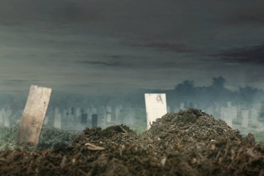 Mezarlık geçmişi olan bir pislik yığını. Toprak kahverengidir ve etrafa saçılmış yapraklar vardır. Dramatik duman ya da sis etkisi. Modelleme. Uzayı kopyala Duvar kağıdı veya Cadılar Bayramı arkaplanı