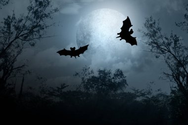 Dolunayın üzerinde gece gökyüzünde uçan iki yarasa. Sahne gizemli ve korkutucu. Cadılar Bayramı dekorasyon konsepti. Duvar kağıdı veya cadılar bayramı arkaplanı