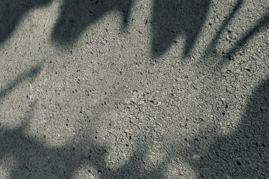 Bir sürü toz ve kirle dolu pis bir duvar. Sahne karanlık ve ürkütücü. Dramatik duman ya da sis etkisi. Modelleme. Uzayı kopyala Duvar kağıdı veya Cadılar Bayramı arkaplanı