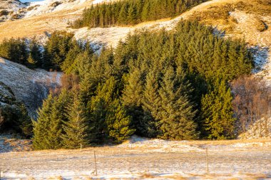 Vik köyünde yeşil çalılı tepe manzarası. İzlanda 'nın en güneydeki köyü. Doğa, seyahat, kış arkaplanı veya duvar kağıdı