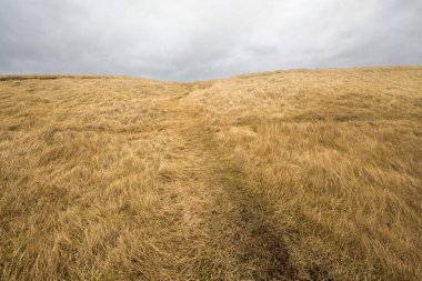 İzlanda 'da dramatik gökyüzü olan tepedeki çayırların panoramik manzarası. Doğa, seyahat, kış arkaplanı veya duvar kağıdı