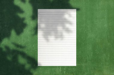 Yeşil arka planda gölgesi olan iş antetli mektupların en üst görüntüsü. Boş kağıt ya da yaprak. Tasarımınız için boşluk oluştur veya kopyala