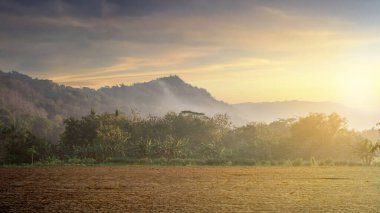 Yeşil ağaçlı çimen tarlası ve gün doğumu manzaralı bir dağ manzarası. Yaz arkaplanı