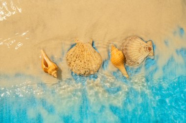 Temiz ve şeffaf, kumlu bir sahilde deniz kabukları olan okyanus dalgalarının havadan görünüşü. Doğal arka plan. Yaz konsepti