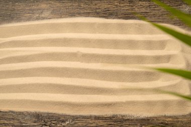 Soyut desenli kum ve ahşap arka planda yeşil palmiye yaprağı. Plaj sahnesi. Yaz konsepti