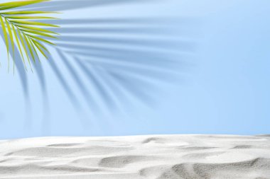 Güzel kumlu bir sahilde palmiye yaprakları. Doğal arka plan. Yaz konsepti