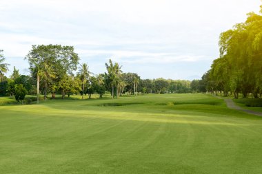 Güneşli bir günde yeşil golf sahası. Ağaçlar ve mavi bir arka plan. Spor mu, doğal mı?