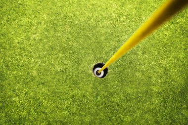 Golf sahasında golf bayrağı olan bir deliğin üst görüntüsü. Spor anlayışı