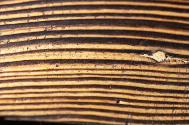 Köy ahşap yüzeyinin karmaşık tahıl deseninin yakın görüntüsü. Ahşap doku arkaplanı