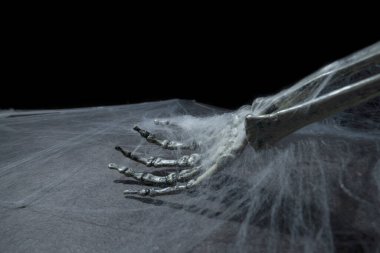 Örümcek ağlarıyla kaplı insan kolu iskeleti. İnsan kafatası, şeytan, şeytan ya da zombi iskeleti. Karanlık ve korkutucu bir sahne. Cadılar Bayramı konsepti