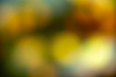 Bulanık ışık bokeh daireleri içeren renkli soyut bir arkaplan koyu veya siyah bir arkaplan. Bokeh ışıkları renkli, canlı gölgelerde neşeli ve büyülü bir atmosfer yaratıyor.