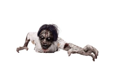 Beyaz arka planda yara ve kanla izole edilmiş korkunç bir erkek zombinin portresi. Ürkütücü bir ifade. Cadılar Bayramı ya da Korku kavramı