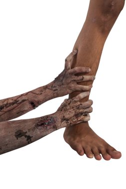 Zombiler yara ve kanla el ele tutuşur ve beyaz arka planda izole edilmiş bir insan ayağını yakalar. Zombi, şeytan, şeytan, şeytan ya da canavar eli. Cadılar Bayramı ya da Korku kavramı
