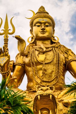 Hindu yıkım ve dönüşüm tanrısı Shiva 'nın dingin altın heykeli yemyeşil bir tahtta görkemli bir şekilde duruyor. Heykelin karmaşık ayrıntıları ve huzurlu ifade tanrının ilahi özünü yakalar. Kusursuz