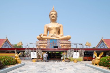 Büyük altın bir Buda heykeli, Mart ayında Tayland 'ın başkenti Singburi' de turistlerin ve yerlilerin beğenisini kazanmak için ihtişamlı bir şekilde Wat Phikun Tangası 'nda sergilenmektedir..