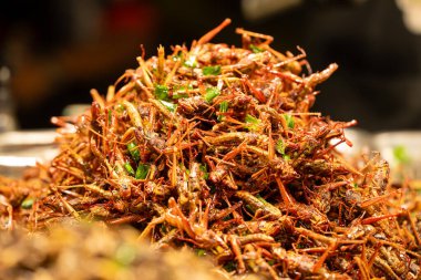 Kızarmış çekirgelerin renkli çeşitleri yoğun bir pazar ortamında sergilenmektedir. Taze pişmiş, bu yenilebilir böcekler yerel lezzetleri tatmak için ilginç ziyaretçileri cezbeder..