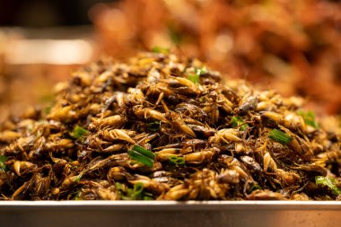 Canlı bir market tezgahında yeşil soğanlarla süslenmiş büyük bir cırcır böceği yığını sergileniyor. Akşam alışverişçileri çeşitli yerel lezzetlere bakarken atmosfer hareketli..