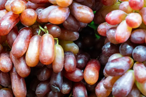 Yerel bir markette taze kırmızı ve mor üzümler sergileniyor, parlak derileri ve parlak renkleri güneş altında sergileniyor, müşterileri satın almaya davet ediyor..