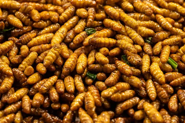 Tayland 'da canlı bir sokak pazarında çeşitli kızarmış böcek larvaları belirgin bir şekilde sergilenmekte ve bu eşsiz lezzeti denemek isteyen pek çok meraklı ziyaretçiyi cezbediyor..