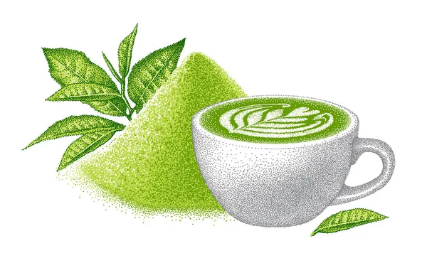 Beyaz seramik bardakta yeşil kibrit latte. Bir yığın kibrit ve çay yaprağı. Gerçekçi çizim. Asya Japon içeceği. Vintage tarzında illüstrasyon. El çizimi vektör.