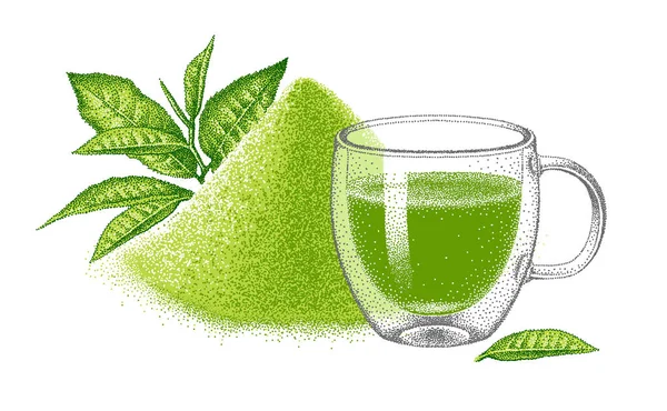 Grüner Matcha Tee Glas Mit Doppelwandiger Tasse Haufen Puder Aus — Stockvektor
