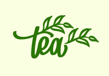 Çay logosu tasarımı. Fırça kullanımıyla el çizimi harfler. Marka için vektör etiketi. Kaligrafi şablonu süslenmiş basit yeşil yapraklar.