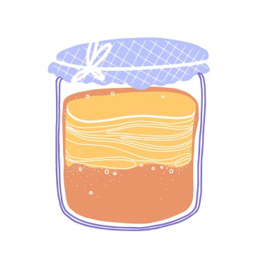Kombucha fermented probiotic homemade tea. Mushroom, glass jar with kombucha tea. Scoby hotel. Healthy fungus drink. Flat cartoon style. Decorative hand-drawn vector, colored sketch.