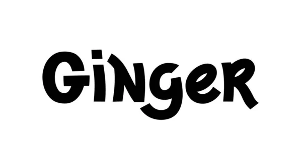 Ginger Wektor Ręcznie Napisany Tekst Kuchnia Zdrowe Zioła Przyprawy Gotowania — Wektor stockowy
