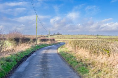 Beautiful Scottish Farmlands in Burns Country with farming fields and trees and hedgerows