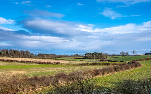 Stewart East Ayrshire附近的苏格兰农田 — 图库照片