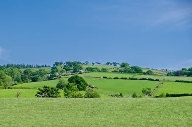 Renfrewshire 'daki Howwood' un üzerinde ağaçlar ve çitleri olan güzel İskoç Tepesi