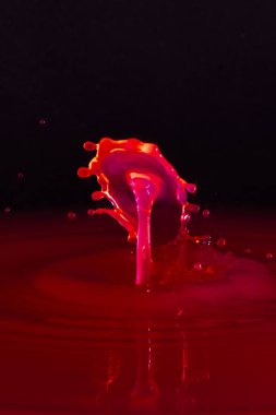 İskoçya 'daki Stewarton ve Irvine arasındaki Perceton Mains' deki Burns bölgesinin kalbinde tarım arazileri olan güzel İskoç tarım arazileri..