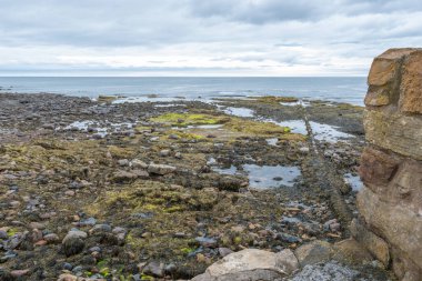 Crain 'den Kuzey Denizi ile buluştuğu Firth of Forth' a kadar uzanan kıyı şeridi. Kıyı şeridi daha çok liken ve yosunlu ağır kayalardan oluşuyor..