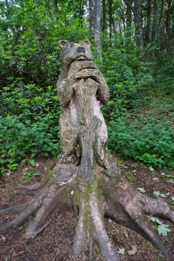 Troon, İskoçya, İngiltere - 08 Haziran 2025: Troon yakınlarındaki Fullarton Ormanı 'nda orman hayvanlarının oyulmuş ahşap oymaları.