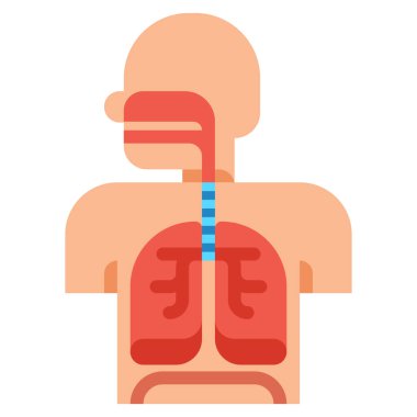 Solunum Sistemi simgesi doldurulmuş ana hatlar biçiminde