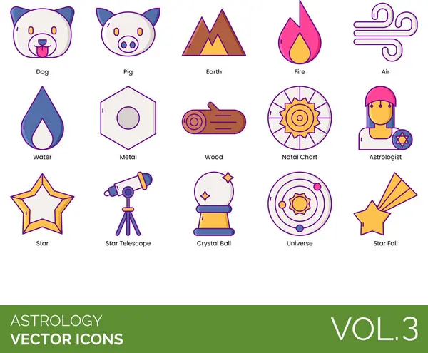 Astrology Icons Including Dog Pig Earth Fire Air Water Metal — Stock Vector