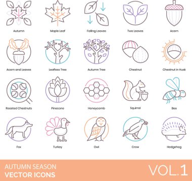 Autumn Season icons including maple, falling, two leaves, acorn, leafless tree, chestnut in husk, roasted, pinecone, honeycomb, squirrel, bee, fox, turkey, owl, crow, hedgehog. clipart