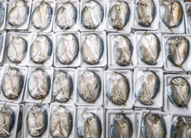 Yerel pazarda satılmaya hazır kısa gövdeli uskumru (Rastrelliger brachysoma) paketi.