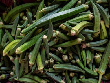 Taze organik yeşil bamya veya Lady finger. Magnezyum, folik asit, lif, antioksidan ve vitamin açısından zengindir..