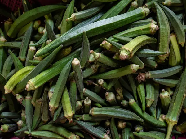Taze organik yeşil bamya veya Lady finger. Magnezyum, folik asit, lif, antioksidan ve vitamin açısından zengindir..