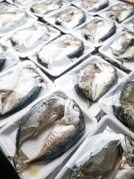 Yerel pazarda satılmaya hazır kısa gövdeli uskumru (Rastrelliger brachysoma) paketi.