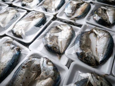 Yerel pazarda satılmaya hazır kısa gövdeli uskumru (Rastrelliger brachysoma) paketi.