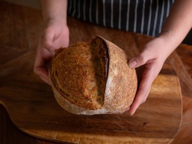 Baker Hand Sunar Ev Yapımı Ekşi Hamur.