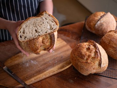 Baker Hand Sunar Ev Yapımı Ekşi Hamur.