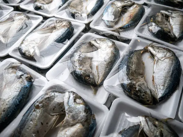 Yerel pazarda satılmaya hazır kısa gövdeli uskumru (Rastrelliger brachysoma) paketi.