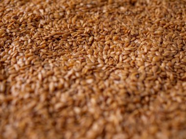 Organik altın keten tohumu, keten tohumu. Yüksek lifli süper yiyecekler.