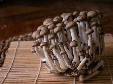 Taze kahverengi shimeji mantarı veya kayın mantarı.