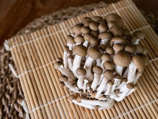 Taze kahverengi shimeji mantarı veya kayın mantarı.